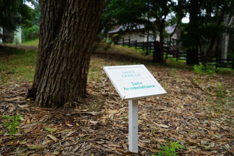 RIQUEZA NATURAL EN MAR DE LAS PAMPAS EL SENDERO BOTÁNICO “MÓNICA GARCÍA” CUMPLIÓ 19 AÑOS