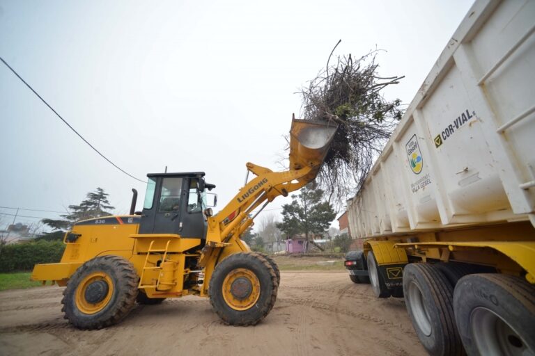 SE DIO COMIENZÓ A LA ÉPOCA DE LA PODA Y RECOLECCIÓN EN LA CIUDAD DE VILLA GESELL