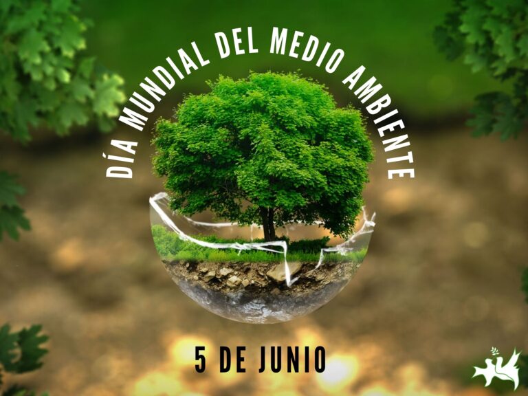 Hoy 5 de junio se celebra el Día Mundial del Medio Ambiente