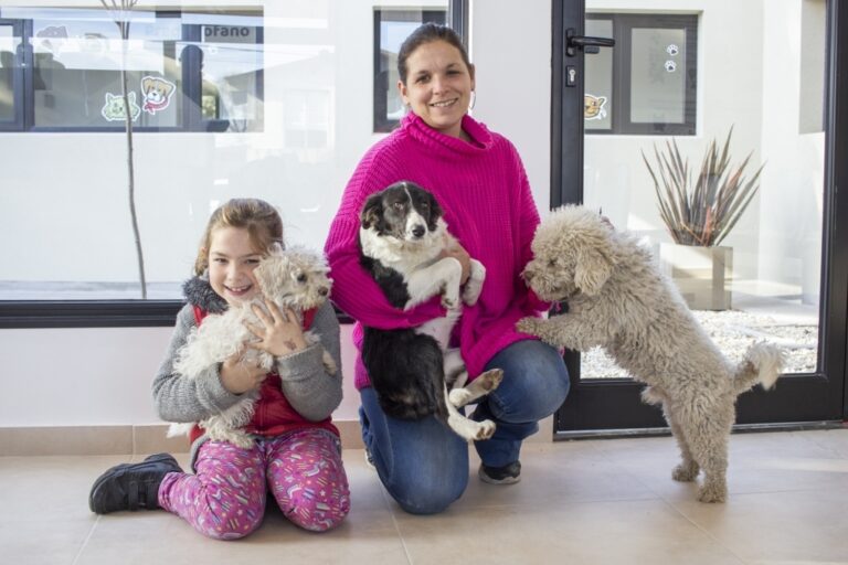 Censo casa por casa para abordar la problemática de perros y gatos