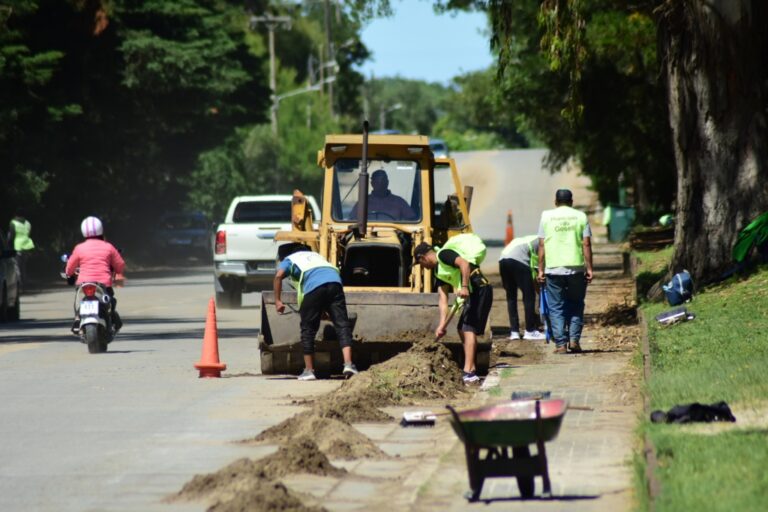 SOSTENIDA LABOR DEL CORRALÓN EN EL MANTENIMIENTO DE LA CIUDAD